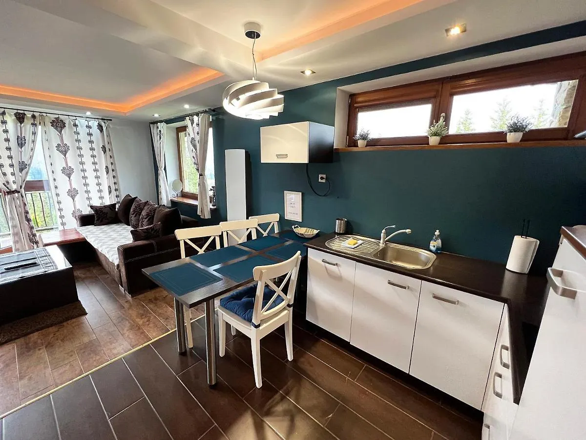 Апартаменты Apartament M5 Закопане